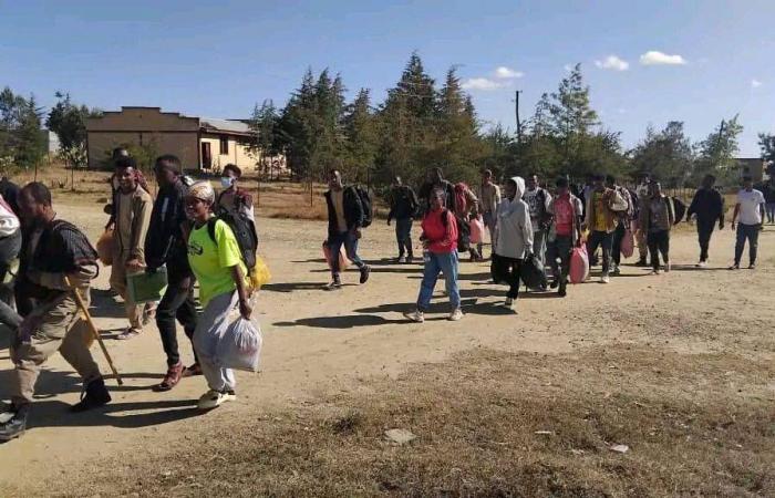 أزمة
      تيغراي...
      مسار
      قلق
      إثيوبي
      بانتظار
      مقاربة
      دولية