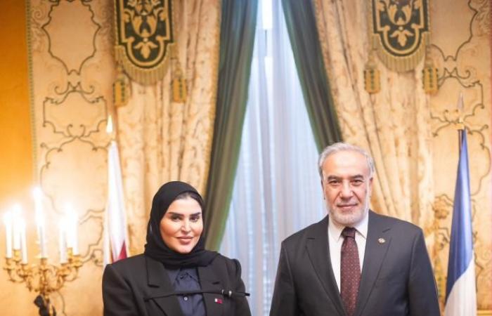 وزير الدولة للتعاون الدولي تجتمع مع نائبي وزيري الخارجية المصري والتركي