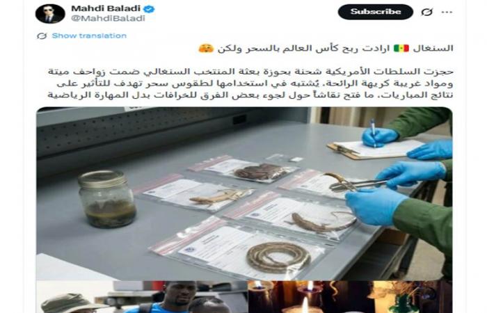 متابعة: "زواحف سحرية مع منتخب السنغال في كأس العالم".. ما صحة الصورة المتداولة؟
