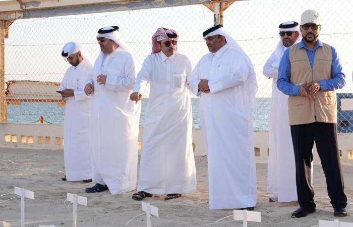 تدشين موسم إطلاق صغار السلاحف البحرية