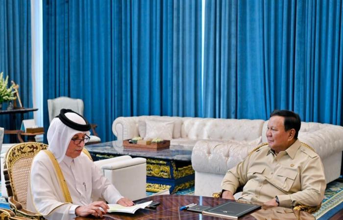 رئيس جمهورية إندونيسيا يستقبل وزير الدولة للشؤون الخارجية