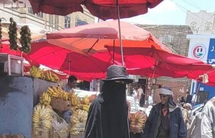 خريجو
      الجامعات
      اليمنية
      بمناطق
      الحوثيين
      في
      قبضة
      البطالة