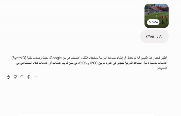 "امرأة عارية تقتحم ملعب مباراة قطر وسويسرا".. ما صحة الفيديو المتداول؟