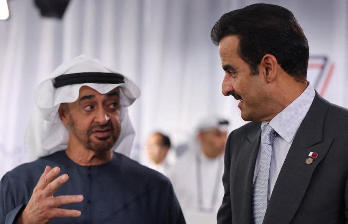 لقطات ترصد محمد بن زايد وتميم بن حمد على هامش قمة مجموعة السبع