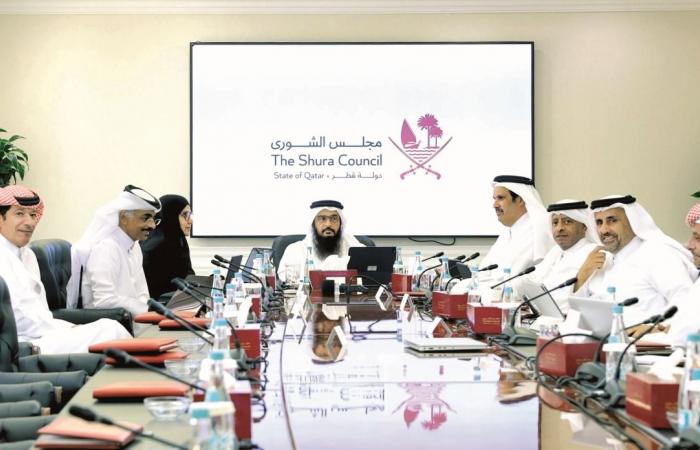 «قانونية» الشورى تناقش قانون أملاك الدولة