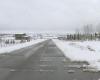 Spring storm brings wet, heavy snowfall to southern Alberta