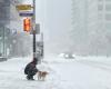 Snow,
      ice
      pellets
      and
      fog
      —
      oh
      my.
      Large
      swaths
      of
      Canada
      feel
      winter's
      icy
      wrath