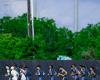 جهاد
      ذكري
      لـ«الشرق
      الأوسط»:
      حصص
      الفيديو
      تقربنا
      من
      أفكار
      دونيس