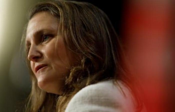 Freeland condemns police brutality after altercation between police and Senegalese diplomat