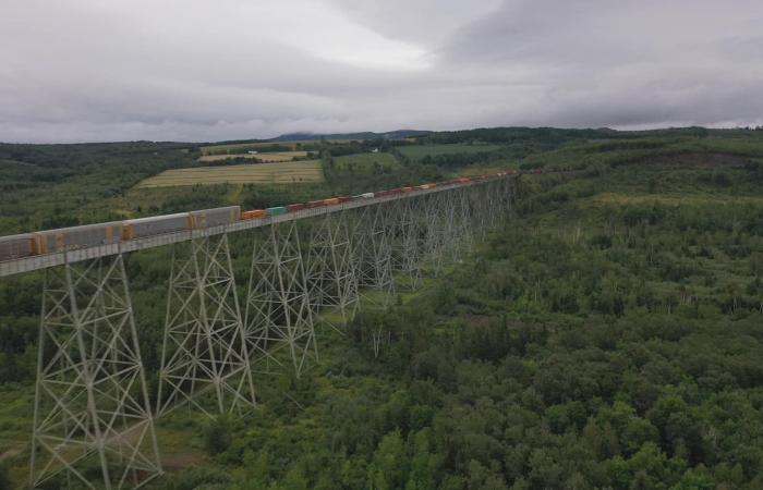 One of Canada's largest train bridges almost forgotten in northwestern N.B.