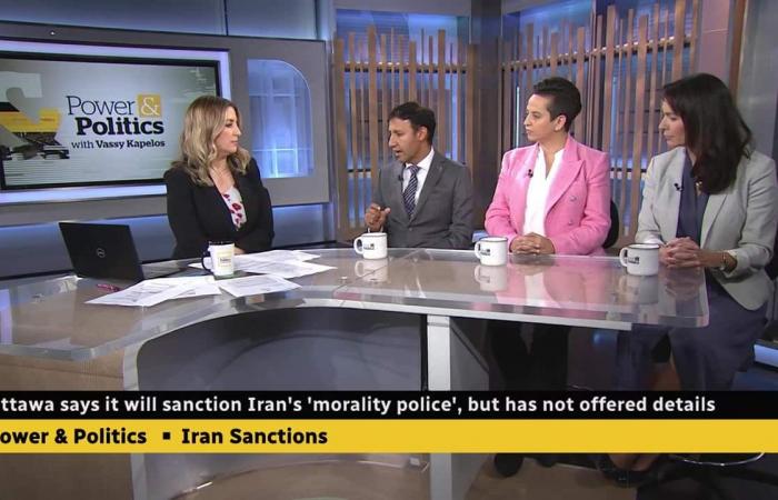 Conservative deputy leader says party supports calls for regime change in Iran
