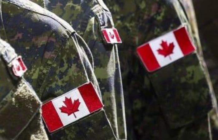 Liberals tell defence department to drop appeal of military class-action deadline extension